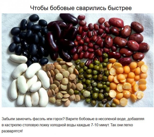20 советов на все случаи жизни