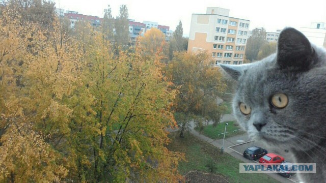 А за окном...