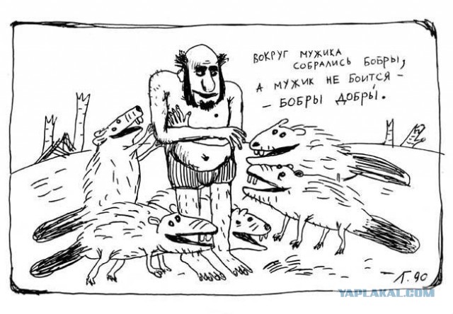 В Латвии агрессивный бобр взял в плен мужчину