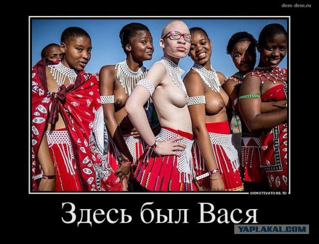 Любопытное в нашей жизни