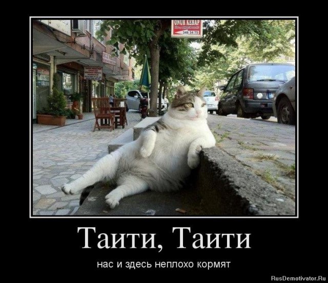Когда живешь на складе...