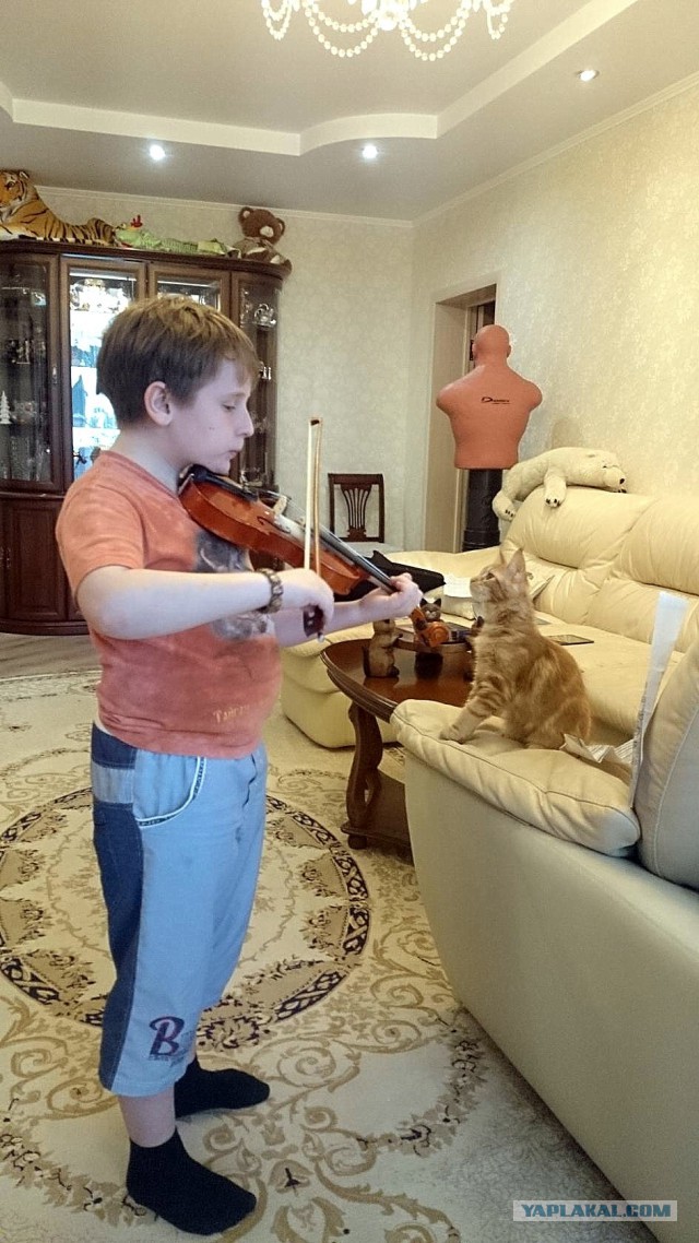 Джокер и его семья