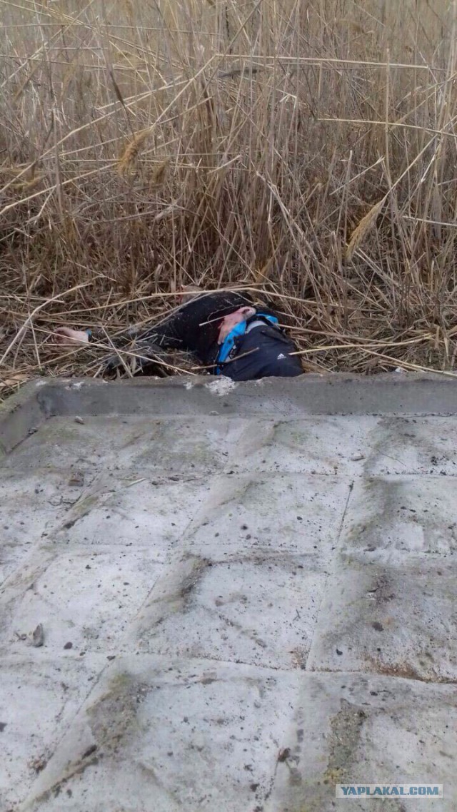 В Астрахани ликвидировали четырех подозреваемых в убийстве полицейских