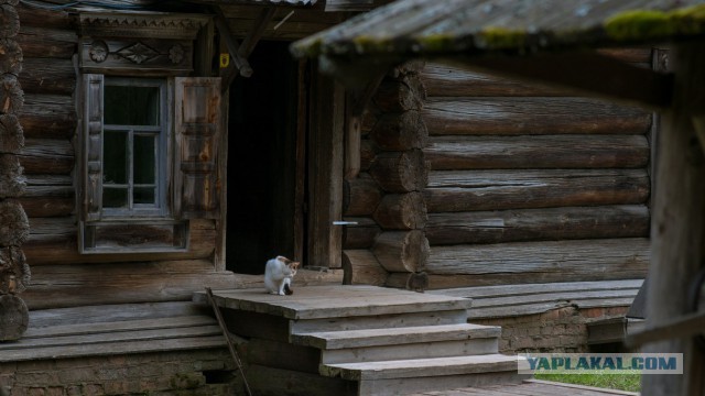 Смешные картинки