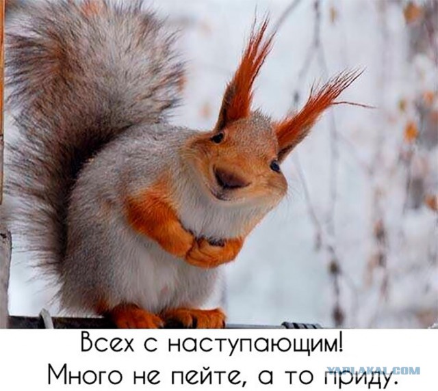 Почему бы не подеградировать, коллеги?