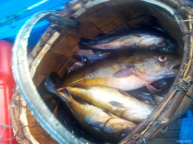 Картинка из детства