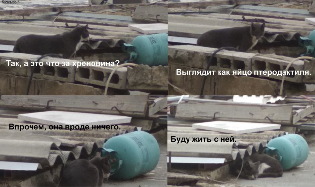 Нестандартный юмор
