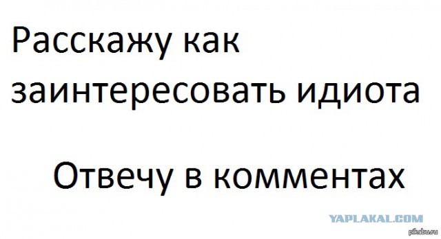 Итоги проверки пользователей