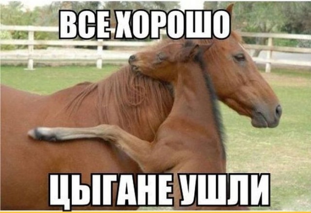 Как празднуют юбилей цыганского барона в Закарпатье