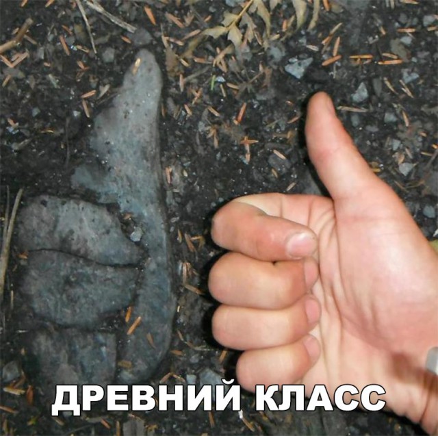 Прикольные картинки обо всем