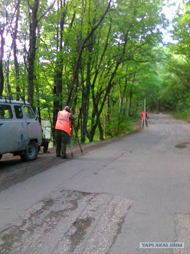 Командировка. В леса