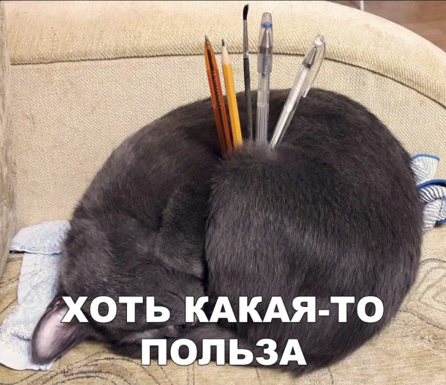 Нестандартный юмор