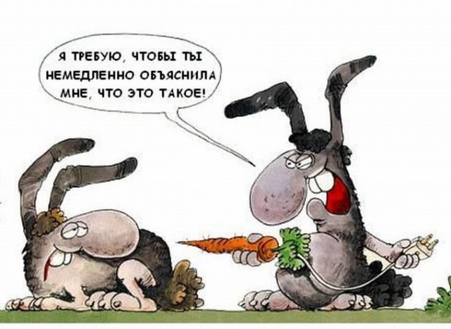 Немного странного юмора на вечер