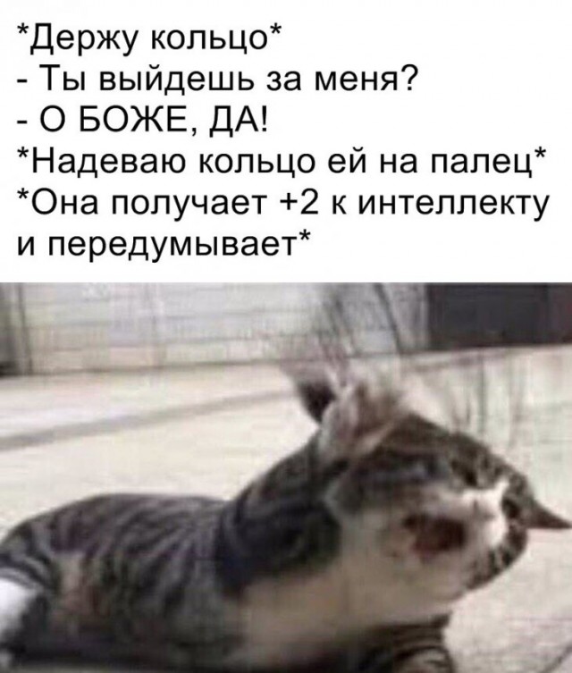 Свежие мемы и демотиваторы