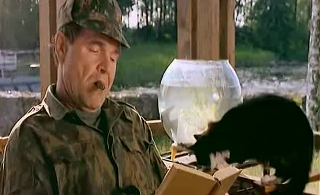 Пьяный арбуз