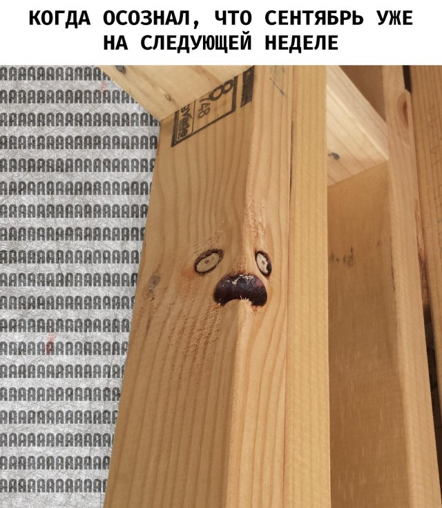 Картинки на воскресный день