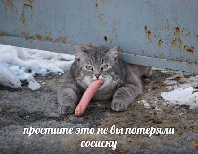 Немного картинок для настроения 27.04.20