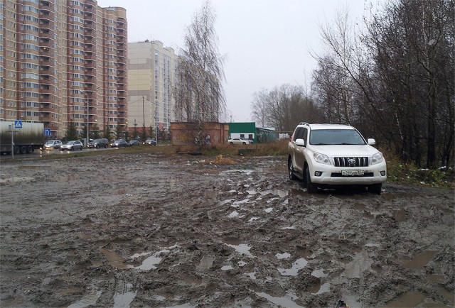 В Петербурге решили наказать жителя, облагородившего придомовую территорию за свой счет