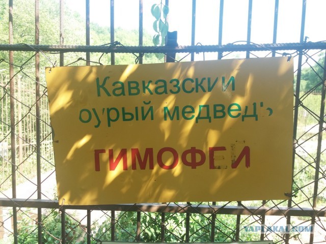 Моя любимая Адыгея (Хаджохская теснина)