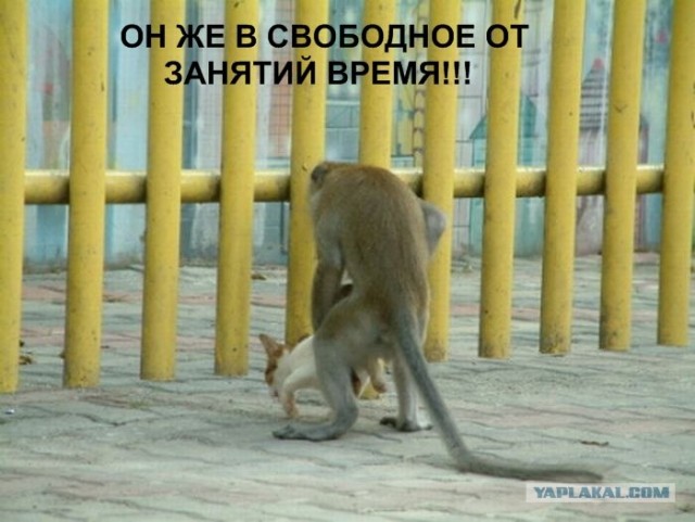Проспал экзамен!