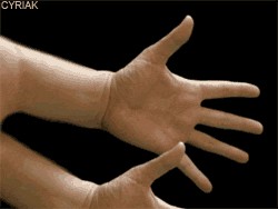 Рука или пальцы? Очередной вынос мозга