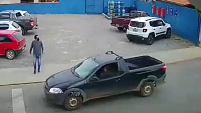 Сбила собака на пешеходном переходе!