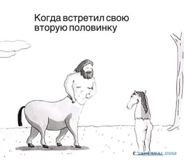 Последняя картинка в вашей Галерее/Загрузках