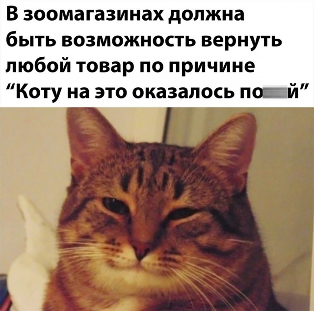 Так себе картинки 25.08.21