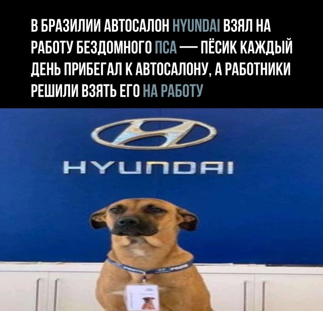 Так себе картинки 05.09.21