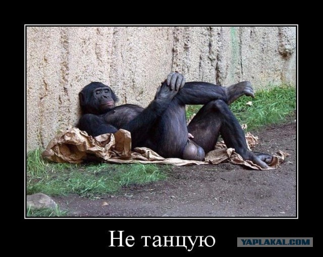 Почему мы больше не танцуем?