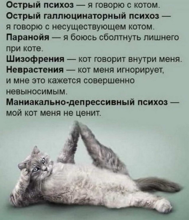 Прикольные и просто красивые картинки 12.01.2022
