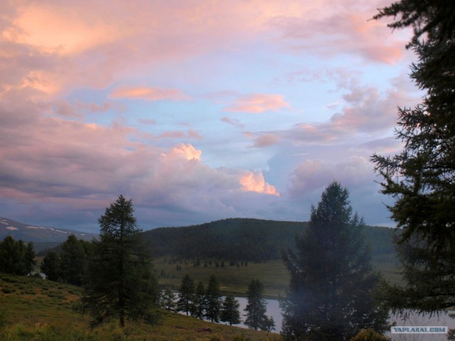 В ноябре на Алтае 2010г.