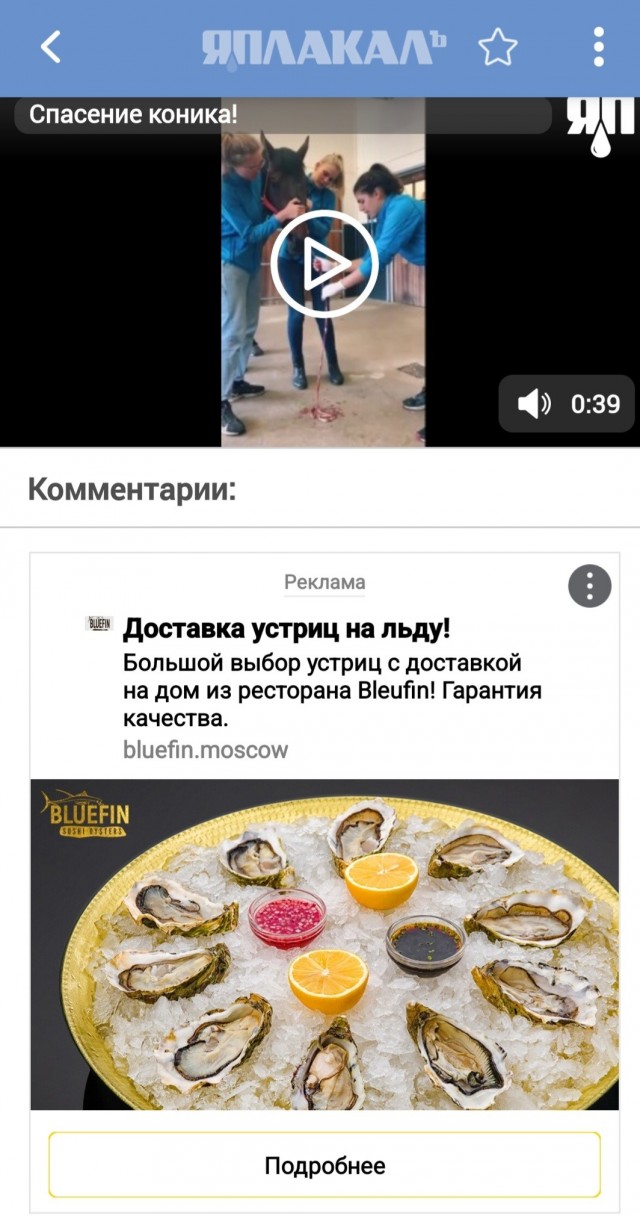 Спасают коня от инопланетного паразита? Внимание, видео 18+