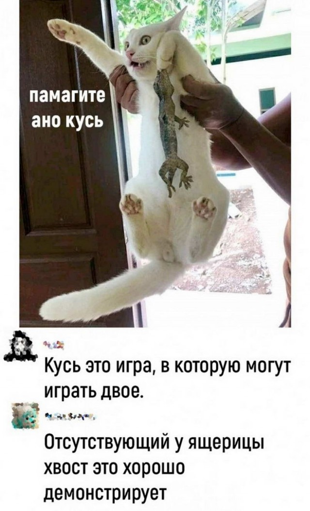 Картинки и мемы для настроения - 19