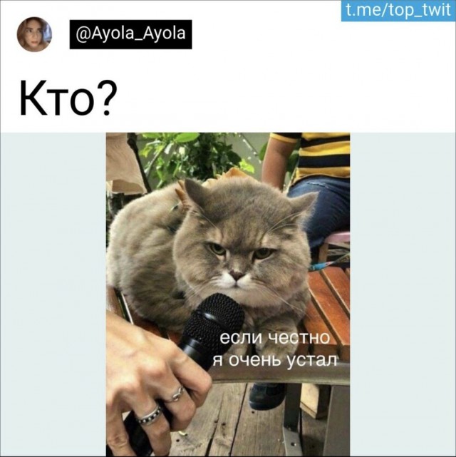 Юмор из Сети 20.06.22