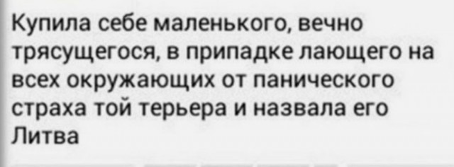 Сенатор Климов намекнул на демилитаризацию Латвии, Литвы и Эстонии.