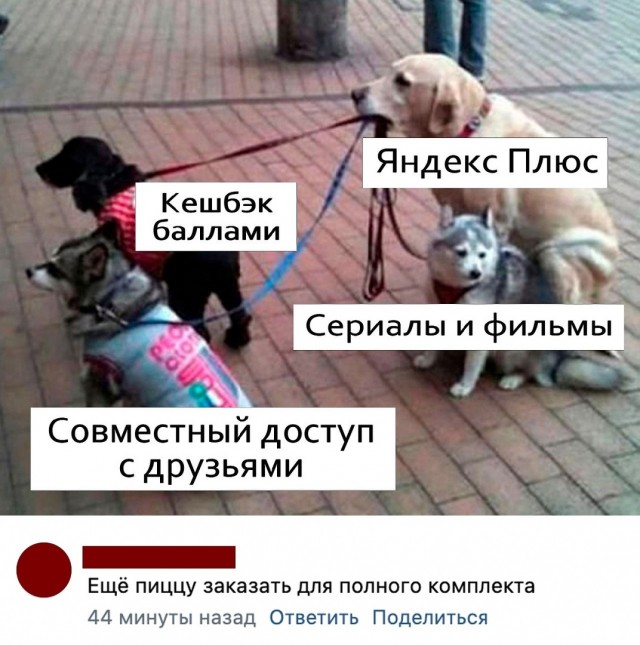 Так себе картинки 09.09.22