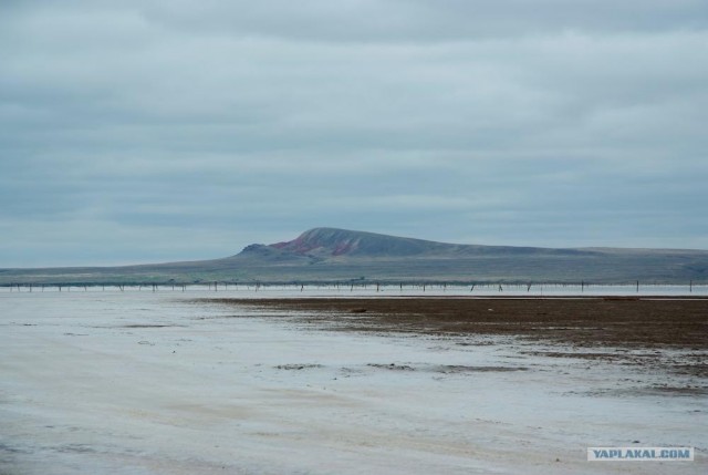 Вот в чем вся соль!