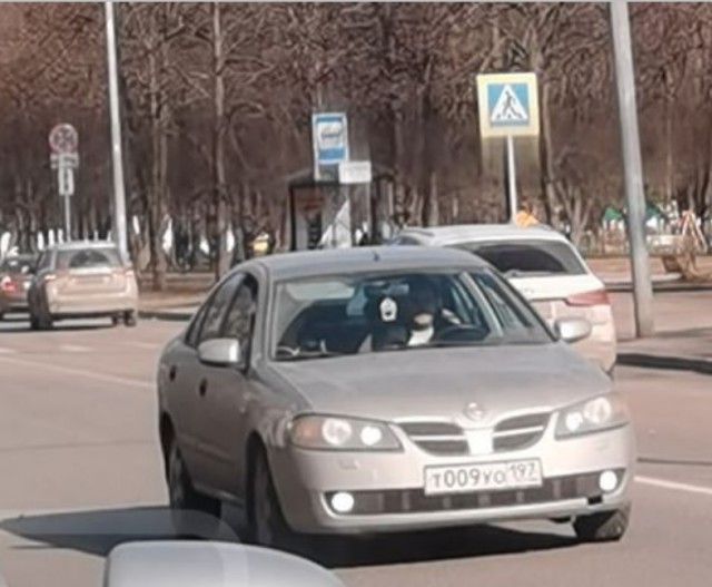Нежданчик :(