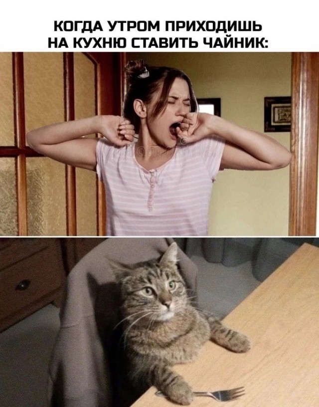 Смешные мемы про утро Юмор в картинках и без - ЯПлакалъ