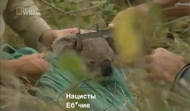 Конченые