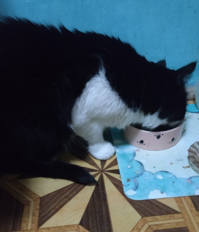 Moлoчный шoкoлaд с капелькoй недoвoльcтвa
