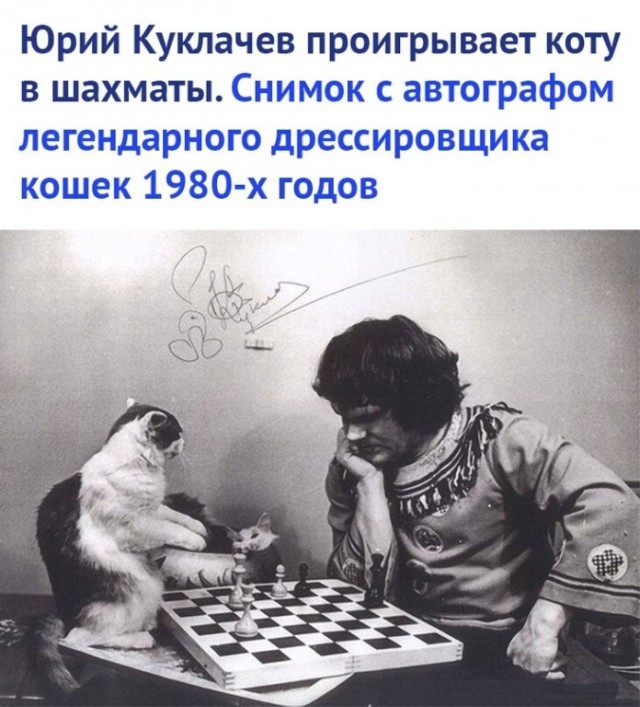 Столько команд знает!