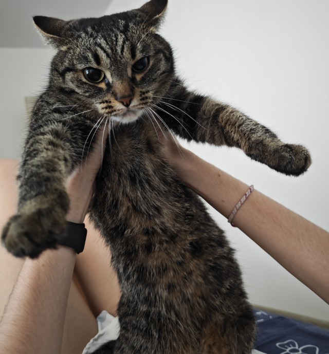 Котя моя. Ну и пусть собакочетверг!