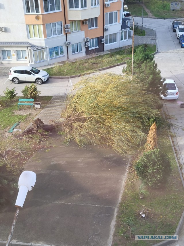 Последние данные о «Шторме века», который приближается к Крыму и Кубани