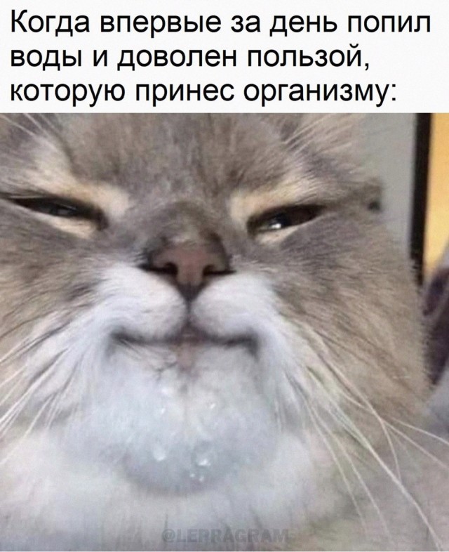 Так себе картинки 23.12.23