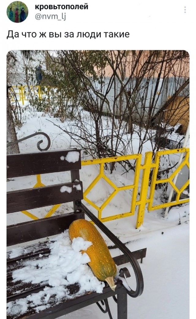 Так себе картинки 31.12.23