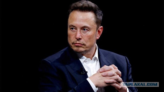 Маск высказался о судьбе Крыма и Донбасса