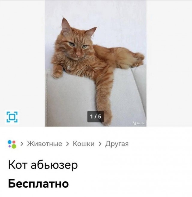 Тлидцать тли от 11 маЛта