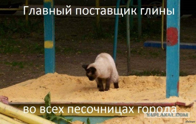 О газонах, которые загадили "собаки"